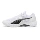 Solarflash III PUMA