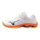 Wave Voltage MIZUNO