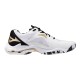 Wave Lightning Z8 kakizome MIZUNO